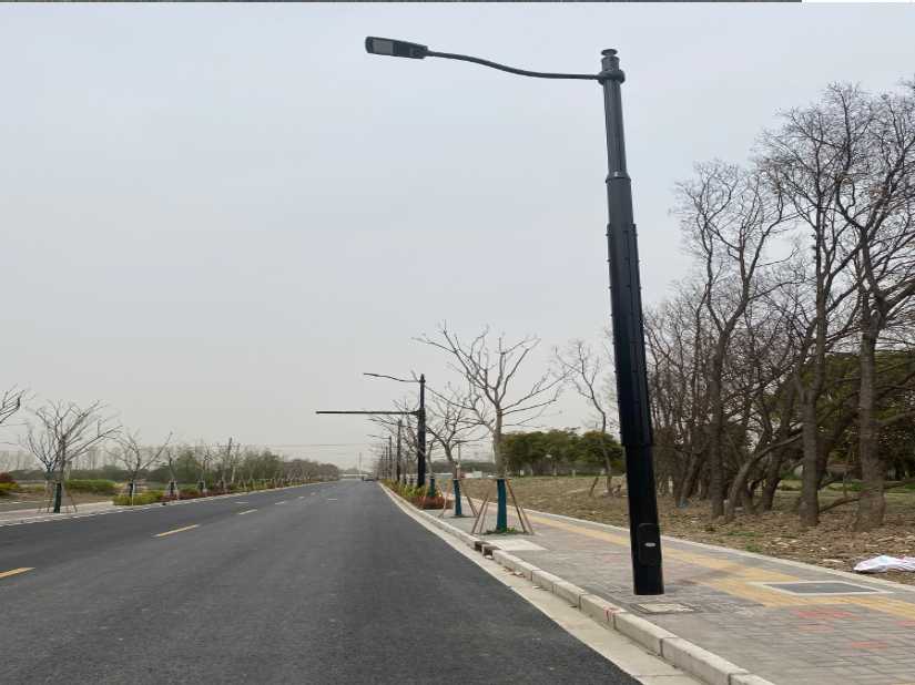 宜秀区上海综合杆 太阳能路灯工程